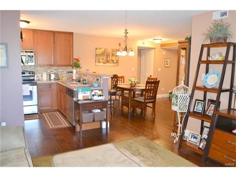 3202 Spring River Dr, O'fallon, MO 63368 photo 6