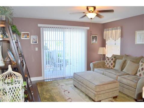 3202 Spring River Dr, O'fallon, MO 63368 photo 5