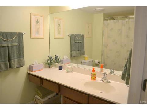 3202 Spring River Dr, O'fallon, MO 63368 photo 10