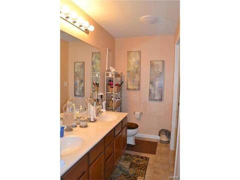 3202 Spring River Dr, O'fallon, MO 63368 photo 13