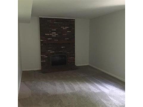 1112 Pinrun Dr, Ballwin, MO 63011 photo 17