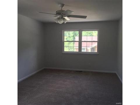 1112 Pinrun Dr, Ballwin, MO 63011 photo 12