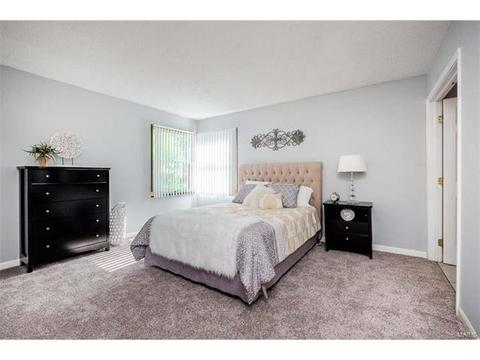 5 Sunny Trail Ct, Ellisville, MO 63011 photo 12