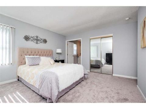 5 Sunny Trail Ct, Ellisville, MO 63011 photo 13