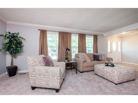 5 Sunny Trail Ct, Ellisville, MO 63011 photo 3