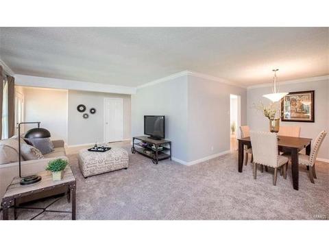 5 Sunny Trail Ct, Ellisville, MO 63011 photo 5