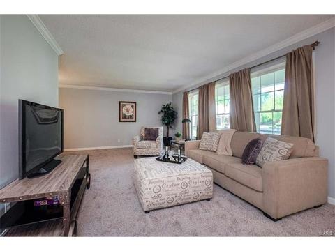 5 Sunny Trail Ct, Ellisville, MO 63011 photo 2