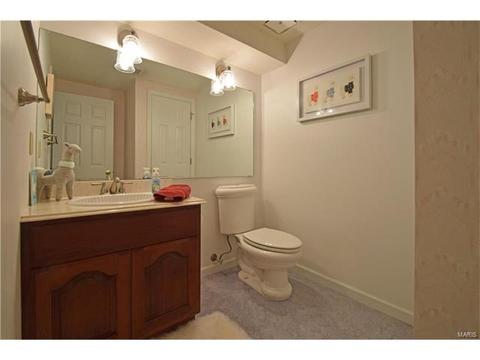 567 Spragues Mill Ct, Ballwin, MO 63011 photo 40