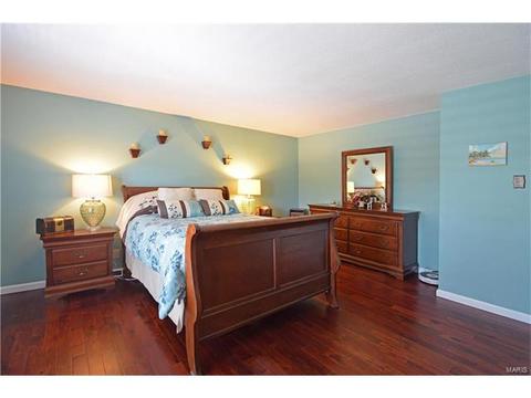 567 Spragues Mill Ct, Ballwin, MO 63011 photo 16