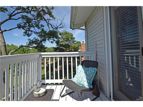 567 Spragues Mill Ct, Ballwin, MO 63011 photo 20