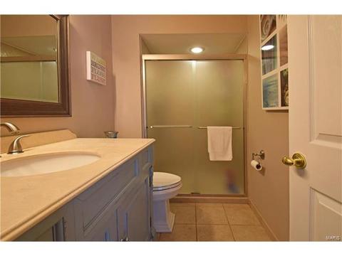 567 Spragues Mill Ct, Ballwin, MO 63011 photo 21