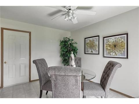 1110 Arbor Spg, Ballwin, MO 63021 photo 17