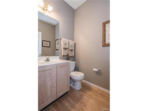 381 Carr Manor Ct, Ballwin, MO 63021 photo 20