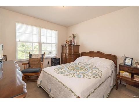 381 Carr Manor Ct, Ballwin, MO 63021 photo 28