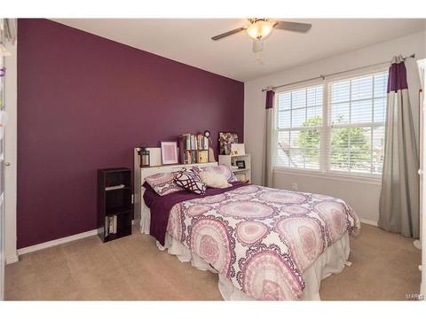 381 Carr Manor Ct, Ballwin, MO 63021 photo 26