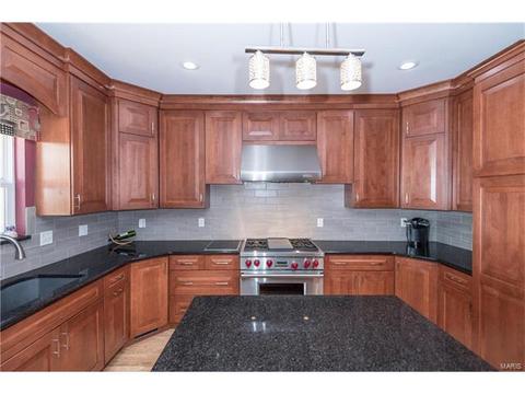 381 Carr Manor Ct, Ballwin, MO 63021 photo 11