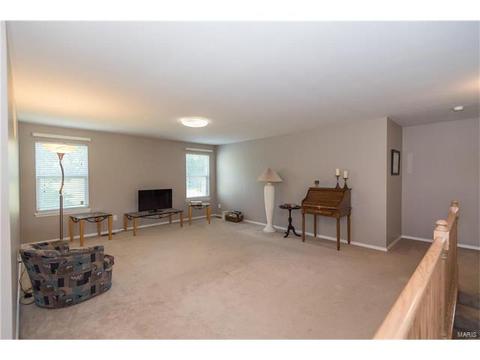 381 Carr Manor Ct, Ballwin, MO 63021 photo 21