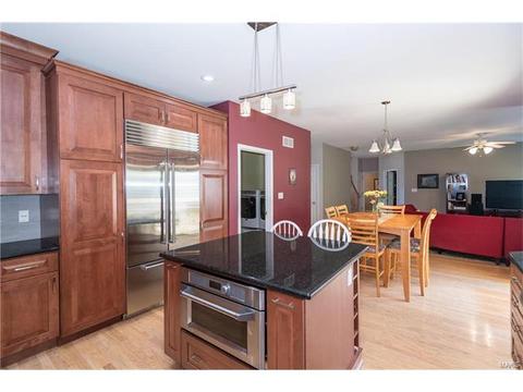 381 Carr Manor Ct, Ballwin, MO 63021 photo 12