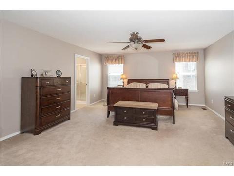 381 Carr Manor Ct, Ballwin, MO 63021 photo 23