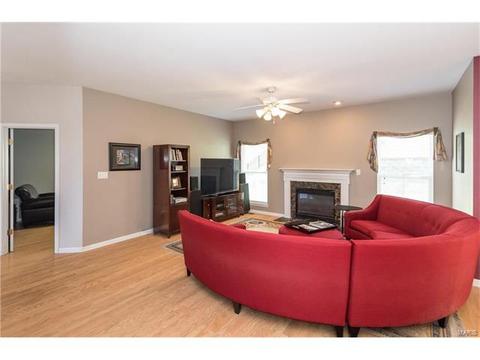 381 Carr Manor Ct, Ballwin, MO 63021 photo 8