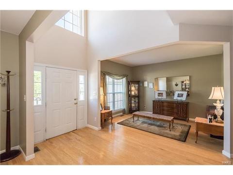 381 Carr Manor Ct, Ballwin, MO 63021 photo 5