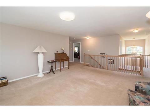 381 Carr Manor Ct, Ballwin, MO 63021 photo 22