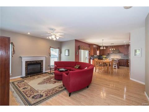 381 Carr Manor Ct, Ballwin, MO 63021 photo 6