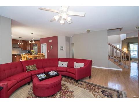 381 Carr Manor Ct, Ballwin, MO 63021 photo 7