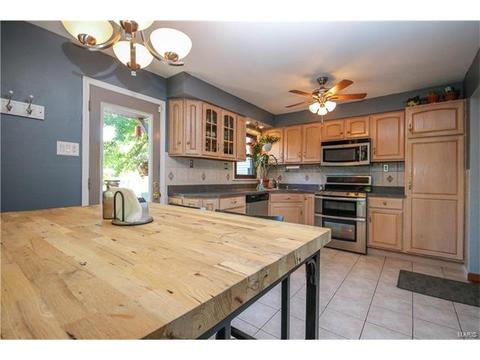 11032 Morrow Dr, Saint Ann, MO 63074 photo 8