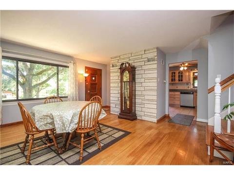 11032 Morrow Dr, Saint Ann, MO 63074 photo 10