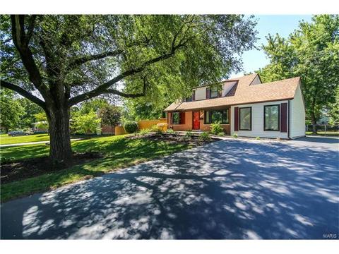 11032 Morrow Dr, Saint Ann, MO 63074 photo 27