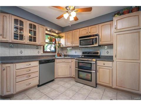 11032 Morrow Dr, Saint Ann, MO 63074 photo 7