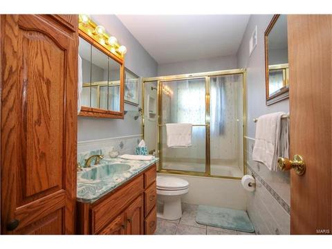 11032 Morrow Dr, Saint Ann, MO 63074 photo 20