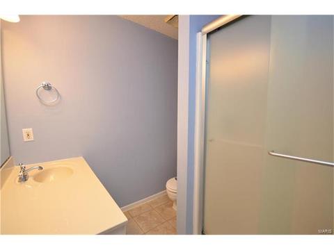 611 Aster Ln, O'fallon, MO 63366 photo 7