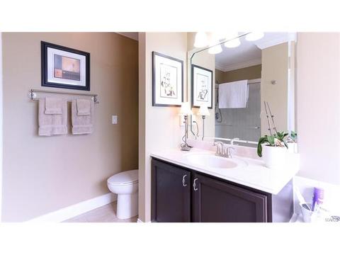 2 Royal Sydney Ct, O'fallon, MO 63366 photo 17