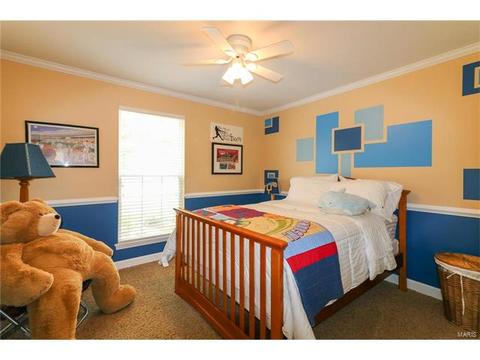 2 Royal Sydney Ct, O'fallon, MO 63366 photo 20