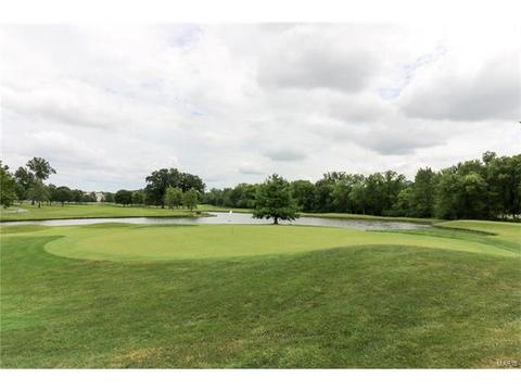 2 Royal Sydney Ct, O'fallon, MO 63366 photo 41