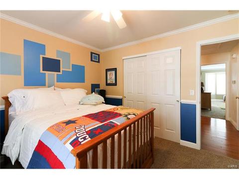 2 Royal Sydney Ct, O'fallon, MO 63366 photo 21