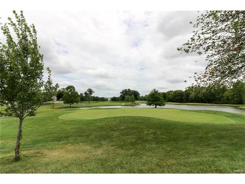 2 Royal Sydney Ct, O'fallon, MO 63366 photo 42