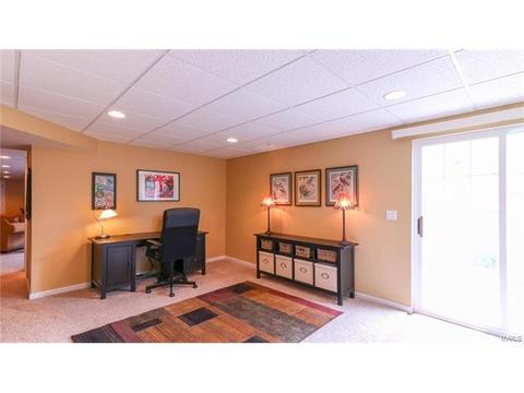 2 Royal Sydney Ct, O'fallon, MO 63366 photo 24