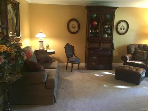 512 Marie Ln, Ballwin, MO 63011 photo 6