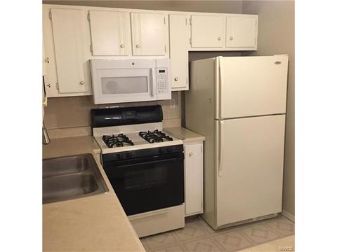 1316 Holgate Dr #G6, Ballwin, MO 63021 photo 7