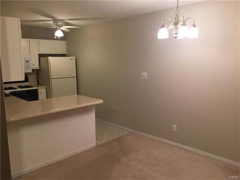 1316 Holgate Dr #G6, Ballwin, MO 63021 photo 9