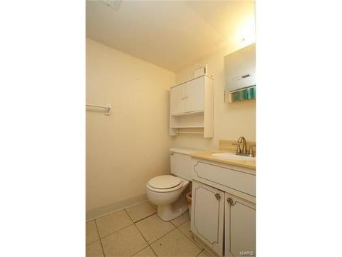 528 Goldwood Dr, Ballwin, MO 63021 photo 24