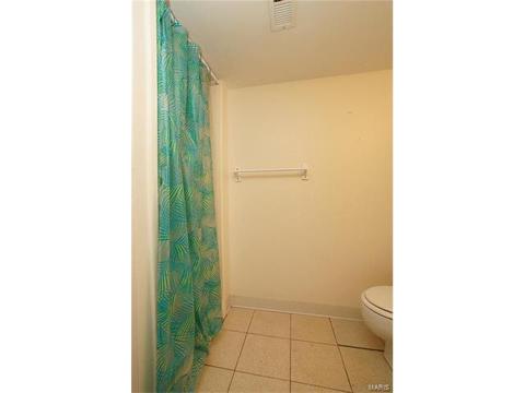 528 Goldwood Dr, Ballwin, MO 63021 photo 25
