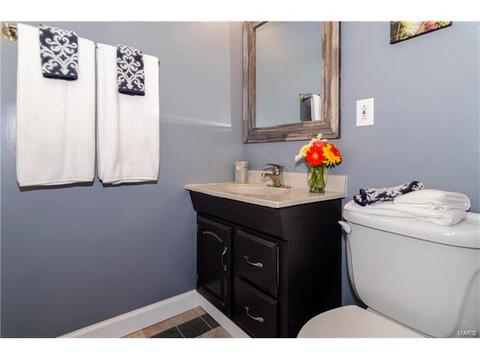 402 Palermo Dr, Ballwin, MO 63021 photo 30