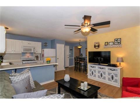 402 Palermo Dr, Ballwin, MO 63021 photo 19