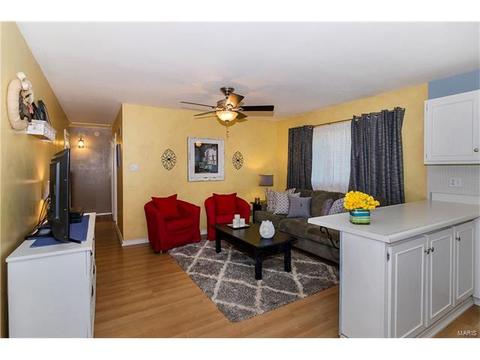 402 Palermo Dr, Ballwin, MO 63021 photo 16