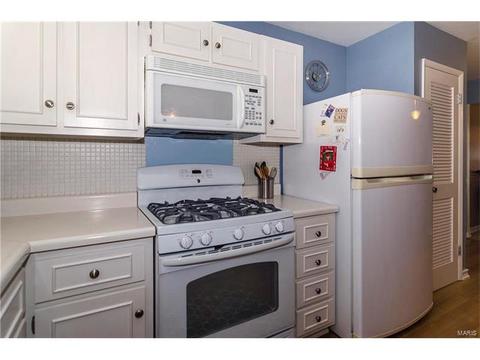 402 Palermo Dr, Ballwin, MO 63021 photo 11