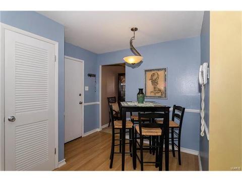 402 Palermo Dr, Ballwin, MO 63021 photo 13
